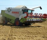 EU: Geringere Getreideernte als in den Vorjahren prognostiziert