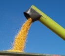 Mähdrescher ernten 3,24 Millionen Tonnen Getreide