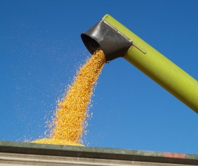 Maispreis Erzeugerpreise