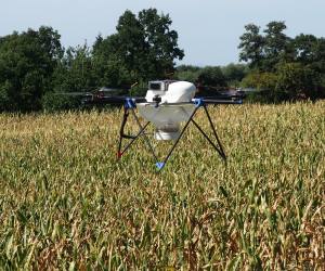 Maiszünslerbekämpfung Drohne