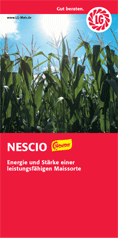 NESCIO - Hochleistungs-Maissorte