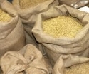 sterreich: Vermarktung der Getreideernte startet mit festen Preisen