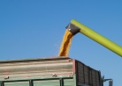 Tipps zum sicheren Getreidetransport